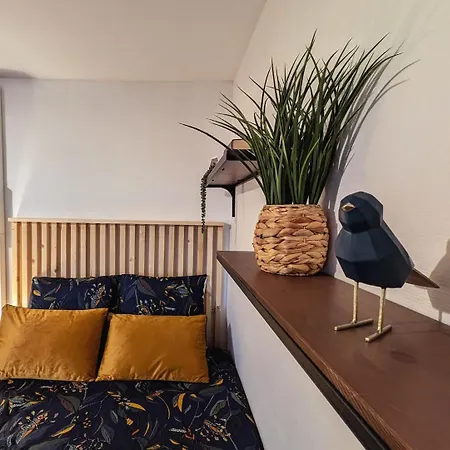 شقة L'exotic - Centre-ville