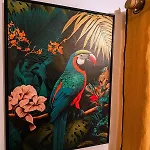 L'exotic - Centre-ville Appartement