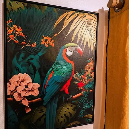 L'exotic - Centre-ville Apartamento